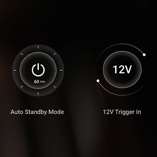 Additional WIIM VIBELINK AMP functions